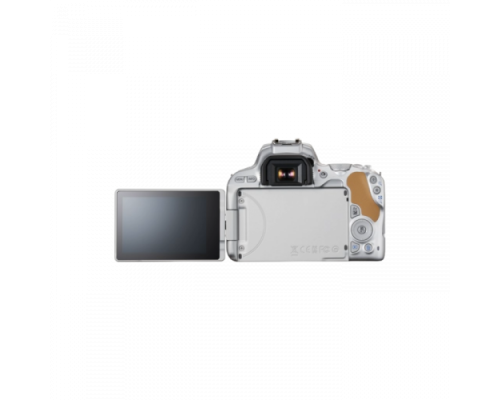 Canon EOS 250D kit (18-55mm) EF-S IS STM Silver (3461C003)