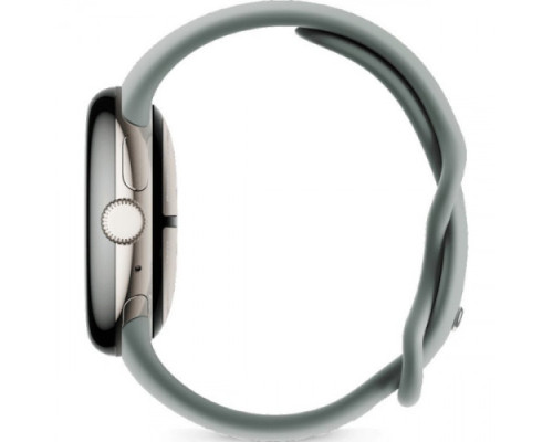 Google Pixel Watch 2 Champagne Gold Aluminum Case / Hazel Active Band