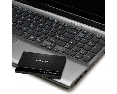PNY CS900 1 TB (SSD7CS900-1TB-RB)