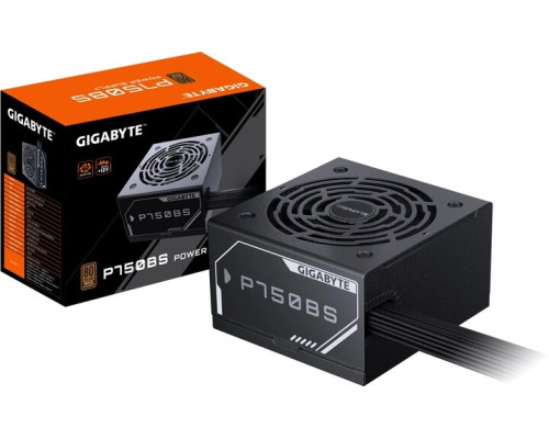GIGABYTE P750BS (GP-P750BS)