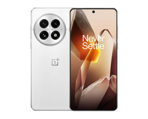 OnePlus 13 12/256GB Arctic Dawn